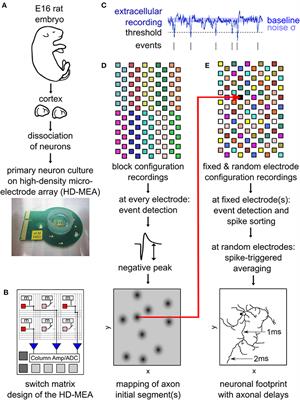 Large-Scale Mapping of Axonal Arbors Using High-Density Microelectrode Arrays